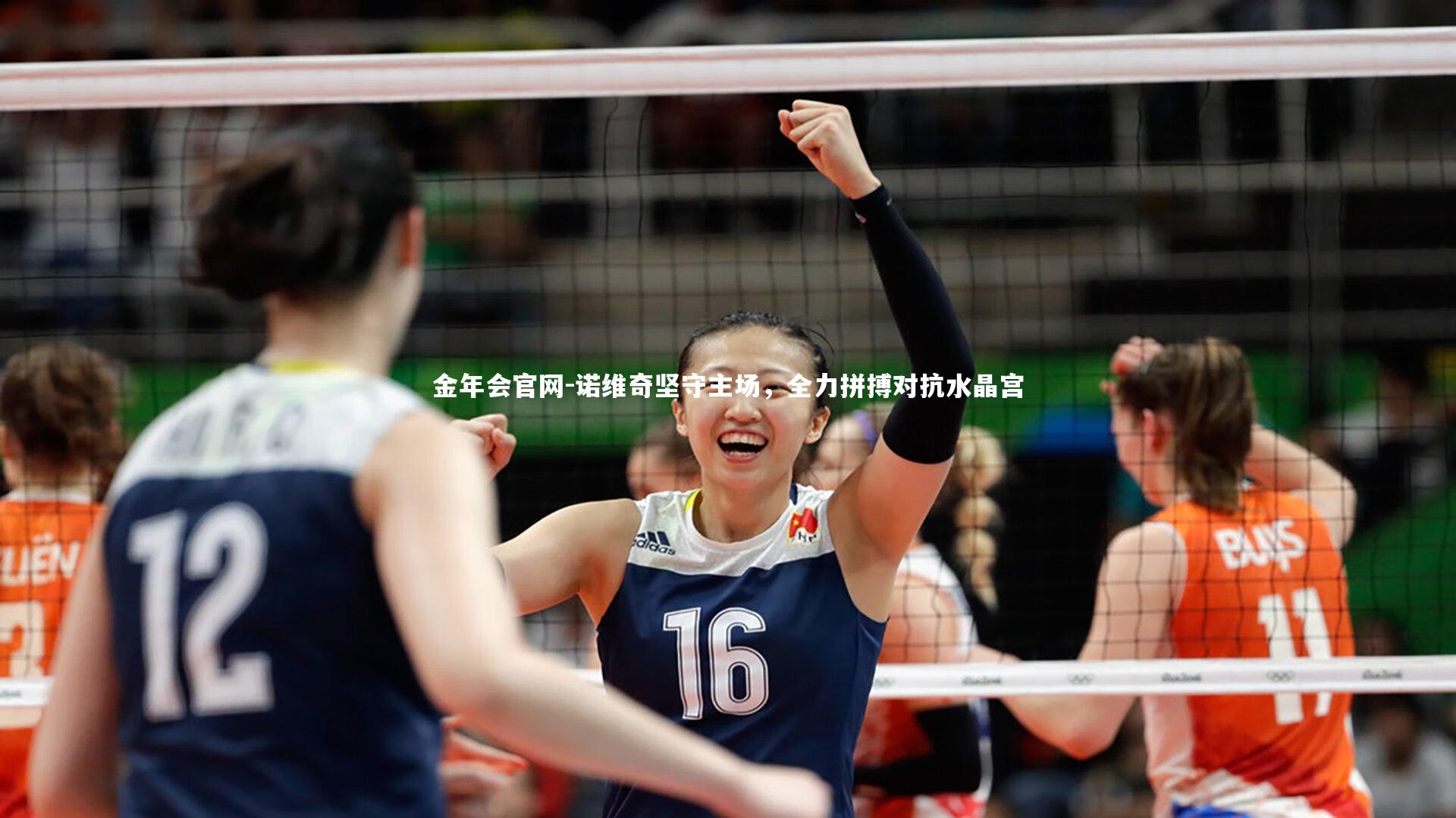 诺维奇坚守主场,全力拼搏对抗水晶宫