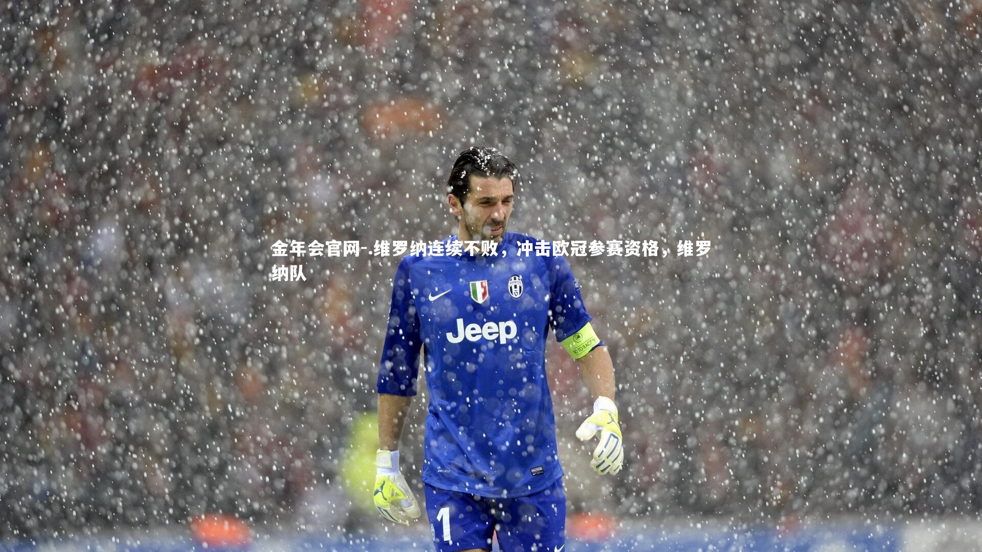 金年会官网-.维罗纳连续不败，冲击欧冠参赛资格，维罗纳队