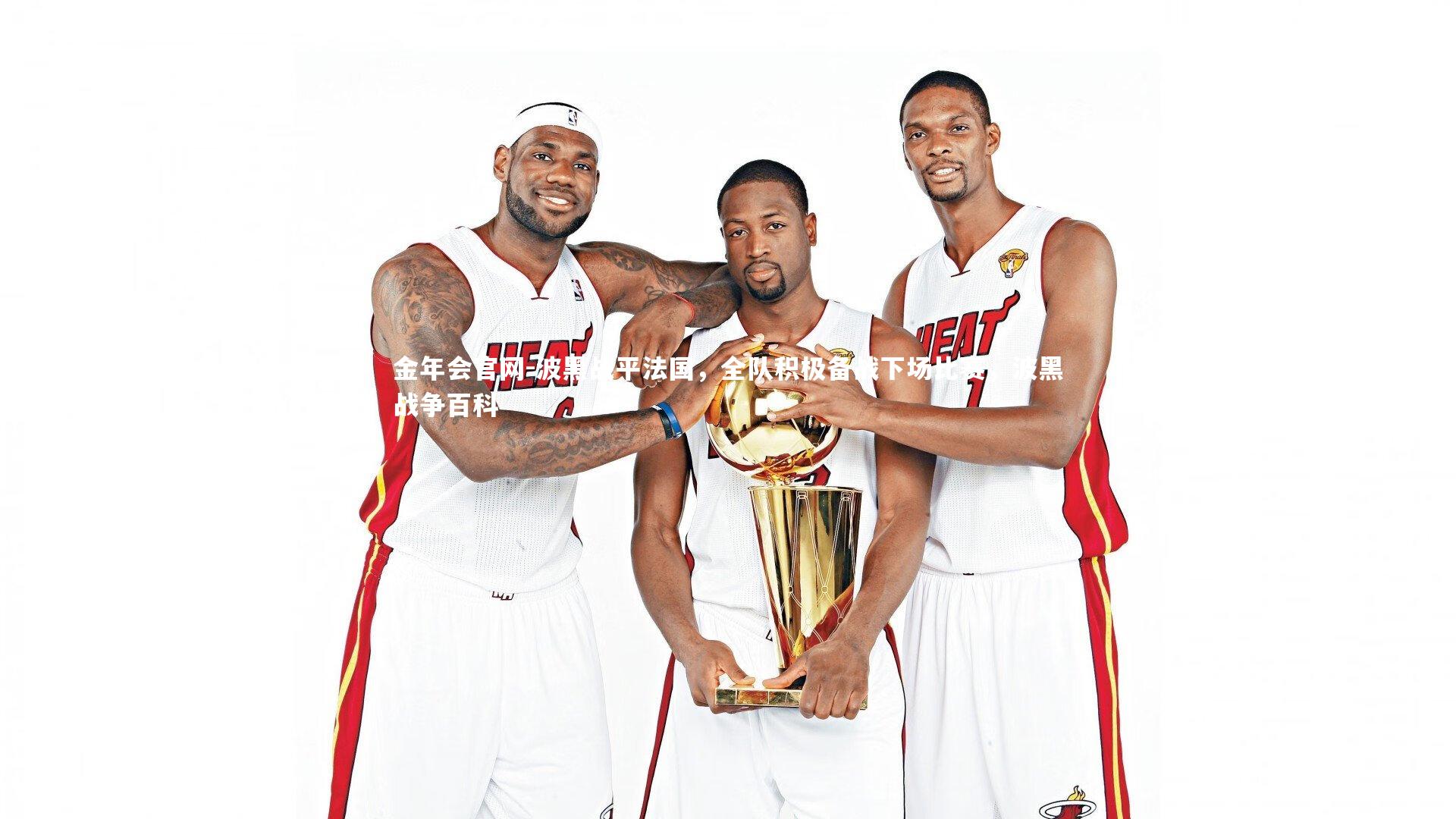 波黑战平法国,全队积极备战下场比赛,波黑战争百科